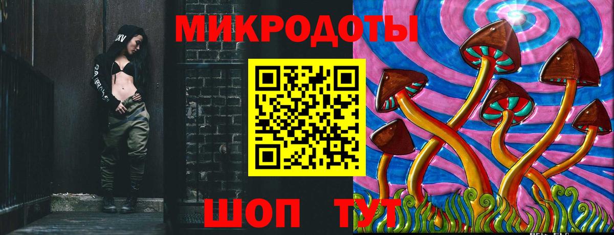 Псилоцибиновые грибы Psilocybe Нерюнгри