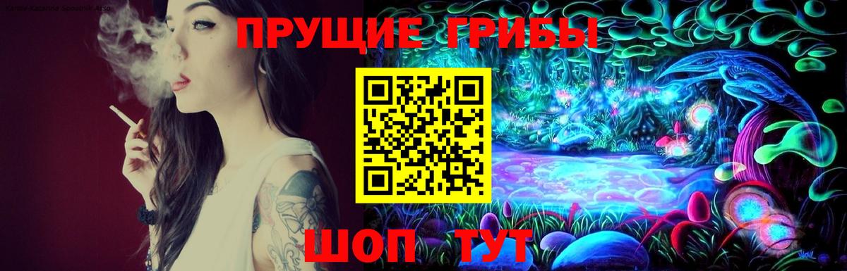 Псилоцибиновые грибы Cubensis  Галлюциногенные грибы прущие грибы  Нерюнгри  Вход с VPN 